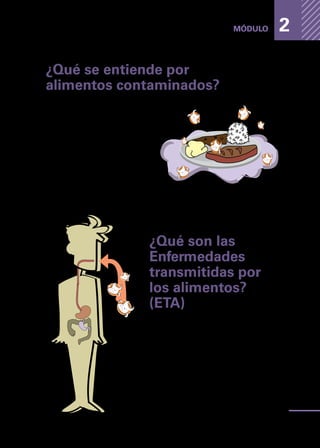 Enfermedades
transmitidas
por
los
alimentos
23
MÓDULO 2
¿Qué se entiende por
alimentos contaminados?
Un alimento contaminado es aquel
que contiene microorganismos
como bacterias, hongos, parásitos,
virus; o toxinas producidas por los
microorganismos. Un alimento tam-
bién puede estar contaminado por
la presencia de sustancias extrañas
(tierras, trozos de palo, pelos) o con-
taminantes químicos, tales como
detergentes, insecticidas o produc-
tos químicos (7).
¿Qué son las
Enfermedades
transmitidas por
los alimentos?
(ETA)
Las enfermedades de transmisión alimenta-
ria (ETA) son aquellas enfermedades de ca-
rácter infeccioso o toxico, causadas por
agentes (biológicos, químicos o físicos) que
penetran al organismo usando como vehícu-
lo un alimento (8).
hidróxido
sódico
 