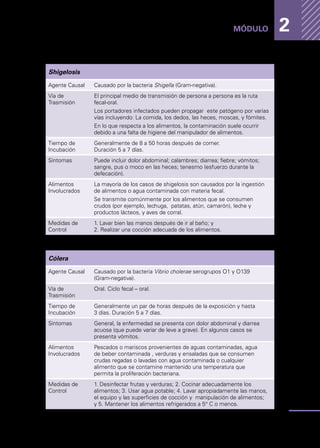 Enfermedades
transmitidas
por
los
alimentos
31
MÓDULO 2
Shigelosis
Agente Causal Causado por la bacteria Shigella (Gram-negativa).
Vía de
Trasmisión
El principal medio de transmisión de persona a persona es la ruta
fecal-oral.
Los portadores infectados pueden propagar este patógeno por varias
vías incluyendo: La comida, los dedos, las heces, moscas, y fómites.
En lo que respecta a los alimentos, la contaminación suele ocurrir
debido a una falta de higiene del manipulador de alimentos.
Tiempo de
Incubación
Generalmente de 8 a 50 horas después de comer.
Duración 5 a 7 días.
Síntomas Puede incluir dolor abdominal; calambres; diarrea; fiebre; vómitos;
sangre, pus o moco en las heces; tenesmo (esfuerzo durante la
defecación).
Alimentos
Involucrados
La mayoría de los casos de shigelosis son causados por la ingestión
de alimentos o agua contaminada con materia fecal.
Se transmite comúnmente por los alimentos que se consumen
crudos (por ejemplo, lechuga, patatas, atún, camarón), leche y
productos lácteos, y aves de corral.
Medidas de
Control
1. Lavar bien las manos después de ir al baño; y
2. Realizar una cocción adecuada de los alimentos.
Cólera
Agente Causal Causado por la bacteria Vibrio cholerae serogrupos O1 y O139
(Gram-negativa).
Vía de
Trasmisión
Oral. Ciclo fecal – oral.
Tiempo de
Incubación
Generalmente un par de horas después de la exposición y hasta
3 días. Duración 5 a 7 días.
Síntomas General, la enfermedad se presenta con dolor abdominal y diarrea
acuosa (que puede variar de leve a grave). En algunos casos se
presenta vómitos.
Alimentos
Involucrados
Pescados o mariscos provenientes de aguas contaminadas, agua
de beber contaminada , verduras y ensaladas que se consumen
crudas regadas o lavadas con agua contaminada o cualquier
alimento que se contamine mantenido una temperatura que
permita la proliferación bacteriana.
Medidas de
Control
1. Desinfectar frutas y verduras; 2. Cocinar adecuadamente los
alimentos; 3. Usar agua potable; 4. Lavar apropiadamente las manos,
el equipo y las superficies de cocción y manipulación de alimentos;
y 5. Mantener los alimentos refrigerados a 5° C o menos.
 