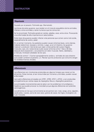 Manual
para
manipuladores
de
alimentos
34
Instructor
Triquinosis
Causado por el parasito Trichinella spp. (Nematodo).
Las larvas de estos gusanos, que residen en el músculo esquelético de los animales,
infectan a otros animales y seres humanos que los consumen.
Se ha encontrado Trichinella spiralis en cerdos, jabalíes, osos, entre otros. Provocando
una enfermedad de alta importancia en salud pública.
Estos tipos de gusanos pueden infectar a las personas que comen carne mal cocida,
especialmente de cerdo y jabalí.
En un primer momento, los parásitos pueden causar síntomas leves, como diarrea,
malestar abdominal, náuseas y vómitos. Luego, ya en el intestino, los gusanos
maduran y producen más larvas que viajar a otras partes del cuerpo (hígado,
músculos, ojos, etc.) estas larvas suele causar síntomas entre 7 días a 30 días
después de la exposición; y se presenta con dolor muscular, fiebre, debilidad y,
a menudo, hinchazón alrededor de los ojos.
Medida de control: 1. Cocinar apropiadamente cerdos y animales de caza silvestre
que puedan contener el parasito; y 2. Revisar que los productos que consuma vengan
de establecimientos oficiales.
Aflatoxicosis
Las aflatoxinas son micotoxinas producidas por algunos hongos que crecen en los
alimentos. Estas toxinas, al ser consumidas por humanos y animales, pueden causar
enfermedad.
Las cuatro aflatoxinas principales son AFB1, AFB2, AFG1 y AFG2, y son producidas
principalmente por ciertas cepas de Aspergillus flavus y Aspergillus parasiticus.
Los principales inconvenientes para la salud, son los problemas inmunológicos y
hepáticos que puede provocar su toxicidad ya que algunas aflatoxinas son potentes
carcinogénicos.
Los alimentos en los que comúnmente se encuentran son: maíz, sorgo, arroz, algodón,
cacahuetes, nueces, carne de coco seco, granos de cacao, los higos, el jengibre y la
nuez moscada.
 
