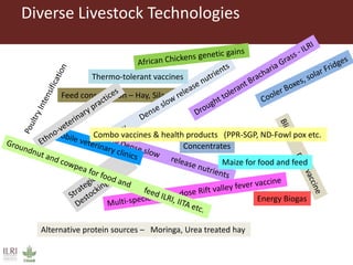 Training Workshop and Capacity Building on Proven Livestock Technology in Eastern Africa