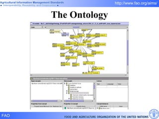The Ontology 