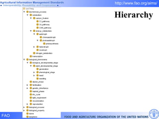 Hierarchy 