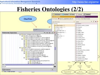 Fisheries Ontologies (2/2) OneFish FIGIS AGROVOC Aquaculture  Resource Water  Area land strains Species life cycle Farming  system management  system Production center Spawning technique Breeding  technique Hatchery  technique Expl. form Regulation Farming technique Environment Institution Health monitoring technique diseases suppliers ASFA 