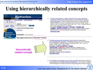 Using hierarchically related concepts hierarchically related concept Polyvalent Trawlers 