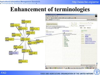 Enhancement of terminologies 