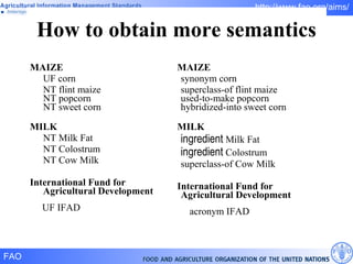 How to obtain more semantics MAIZE UF corn  NT flint maize  NT popcorn  NT sweet corn    MILK NT Milk Fat  NT Colostrum NT Cow Milk International Fund for Agricultural Development UF IFAD  MAIZE synonym corn superclass-of flint maize  used-to-make popcorn  hybridized-into sweet corn    MILK ingredient  Milk Fat  ingredient  Colostrum superclass-of Cow Milk International Fund for Agricultural Development acronym IFAD  