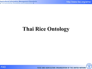 Thai Rice Ontology 