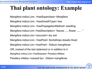 Thai plant ontology: Example Mangifera indica Linn. <hasSuperclass> Mangifera Mangifera indica Linn. <hasGrowthType> tree Mangifera indica Linn. <hasPropagationMethod> seedling Mangifera indica Linn <hasDescription> "leaves ...., flower ......  “ Mangifera indica Linn <occursIn> dry soil Mangifera indica Linn. <hasPest> Scirtothrips dosalis Hood  Mangifera indica Linn <hasPest>  Oidium mangiferae  OR, instead of the last statement or in addition to it Mangifera indica Linn <hasDisease> Powdery Mildew Powdery mildew <caused by>  Oidium mangiferae  