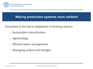 Innovation is the key to adaptation in farming systems
 Sustainable intensification
 Agroecology
 Efficient water management
 Managing carbon and nitrogen
Making production systems more resilient
FAO Economic and Social Development Department 10/ 30LEG Technical Regional Workshop01 March 2017
 