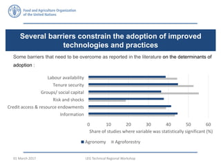 Some barriers that need to be overcome as reported in the literature on the determinants of
adoption :
Several barriers constrain the adoption of improved
technologies and practices
FAO Economic and Social Development Department 14/ 30
0 10 20 30 40 50 60
Information
Credit access & resource endowments
Risk and shocks
Groups/ social capital
Tenure security
Labour availability
Share of studies where variable was statistically significant (%)
Agronomy Agroforestry
LEG Technical Regional Workshop01 March 2017
 