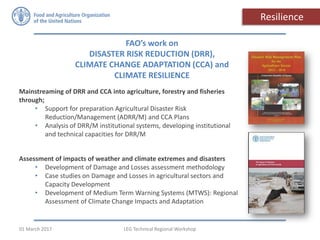FAO’s work on
DISASTER RISK REDUCTION (DRR),
CLIMATE CHANGE ADAPTATION (CCA) and
CLIMATE RESILIENCE
Mainstreaming of DRR and CCA into agriculture, forestry and fisheries
through;
• Support for preparation Agricultural Disaster Risk
Reduction/Management (ADRR/M) and CCA Plans
• Analysis of DRR/M institutional systems, developing institutional
and technical capacities for DRR/M
Assessment of impacts of weather and climate extremes and disasters
• Development of Damage and Losses assessment methodology
• Case studies on Damage and Losses in agricultural sectors and
Capacity Development
• Development of Medium Term Warning Systems (MTWS): Regional
Assessment of Climate Change Impacts and Adaptation
Resilience
LEG Technical Regional Workshop01 March 2017
 