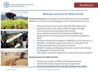 Technical assistance to strengthen climate information services, develop
databases, and tools and methodology to assess climate impacts such as:
• Climate Information services for CCA and DRR in agriculture
• Agriculture Stress Index System (ASIS) to support drought
monitoring and early warning for food security
• Community-Based Disaster Risk Reduction (CBDRR) and
development of e-learning tools, Community Based Adaptation
(CBA)
• Promote innovative technologies for DRR/M (e.g. ICTs, Drones etc.,)
• MOSAICC - Integrated impact assessment on crop yields; from
climate data handling to economic assessment
• AMICAF - Analysis and Mapping of Impacts under Climate Change
for Adaptation and Food Security
• FAO-Adapt: Framework Programme on Climate Change Adaptation
Good practices for DRR and CCA
• Testing and evaluation of DRR and CCA good practices
• Cost benefit analysis of good practices in agriculture
• Integration of good practices into FAO databases (e.g. TECA)
Resilience
Methods and tools for DRR and CCA
LEG Technical Regional Workshop01 March 2017
 