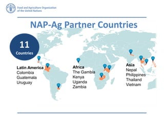 NAP-Ag Partner Countries
Latin America
Colombia
Guatemala
Uruguay
Africa
The Gambia
Kenya
Uganda
Zambia
Asia
Nepal
Philippines
Thailand
Vietnam
11
Countries
 