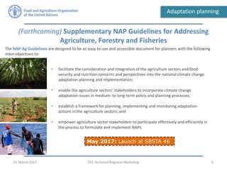 9
Adaptation planning
(Forthcoming) Supplementary NAP Guidelines for Addressing
Agriculture, Forestry and Fisheries
LEG Technical Regional Workshop01 March 2017
• facilitate the consideration and integration of the agriculture sectors and food
security and nutrition concerns and perspectives into the national climate change
adaptation planning and implementation;
• enable the agriculture sectors’ stakeholders to incorporate climate change
adaptation issues in medium- to long-term policy and planning processes;
• establish a framework for planning, implementing and monitoring adaptation
actions in the agriculture sectors; and
• empower agriculture sector stakeholders to participate effectively and efficiently in
the process to formulate and implement NAPs.
The NAP-Ag Guidelines are designed to be an easy to use and accessible document for planners with the following
main objectives to:
May 2017: Launch at SBSTA 46
 