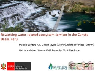 Rewarding water-related ecosystem services in the Canete
Basin, Peru
Marcela Quintero (CIAT), Roger Loyola (MINAM), Yolanda Puemape (MINAM)
Multi-stakeholder dialogue 12-13 September 2013 FAO, Rome

 