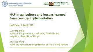 NAP in agriculture and lessons learned
from country implementation
NAP Expo, 9 April 2019
Lucy Ng’ang’a
Ministry of Agriculture, Livestock, Fisheries and
Irrigation, Republic of Kenya
Theresa Wong
Food and Agriculture Organization of the United Nations
1
 