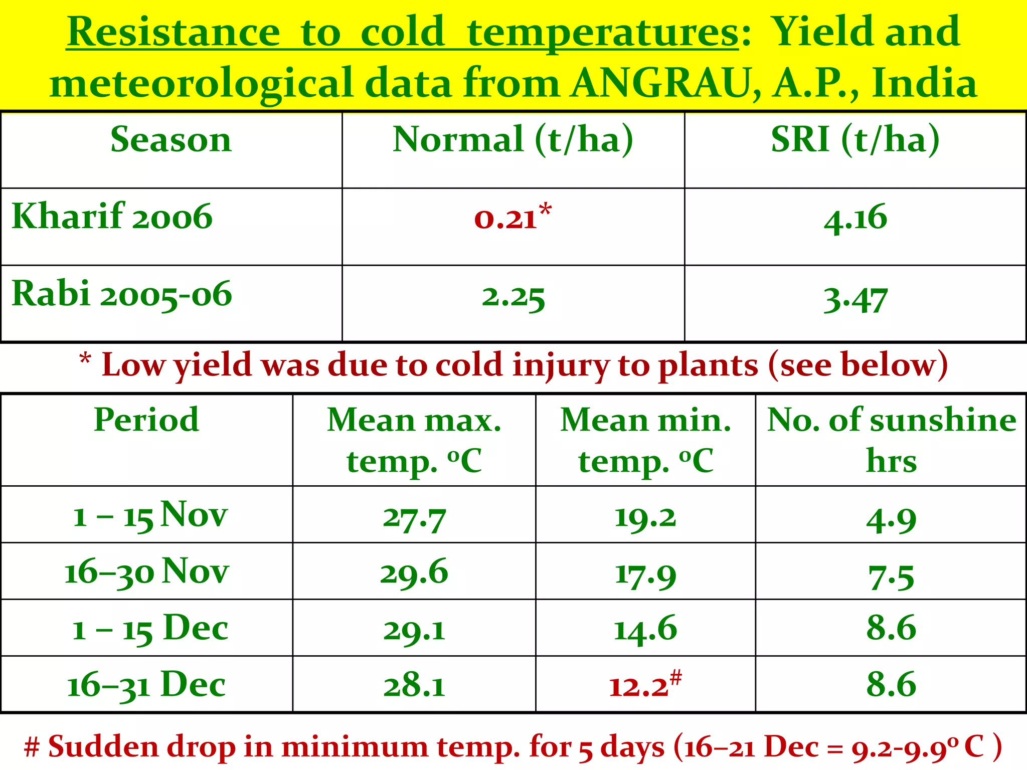 Resistance to cold temperatures: Yield and
  meteorological data from ANGRAU, A.P., India
     Season              Normal (t/ha)             SRI (t/ha)

Kharif 2006                    0.21*                  4.16

Rabi 2005-06                   2.25                   3.47
   * Low yield was due to cold injury to plants (see below)
    Period          Mean max.          Mean min.   No. of sunshine
                     temp. 0C           temp. 0C          hrs
   1 – 15 Nov           27.7             19.2            4.9
  16–30 Nov             29.6             17.9            7.5
   1 – 15 Dec           29.1             14.6            8.6
   16–31 Dec            28.1             12.2#           8.6
# Sudden drop in minimum temp. for 5 days (16–21 Dec = 9.2-9.9o C )
 
