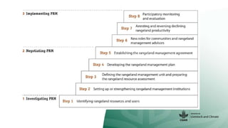 Action research – a place for the co-development of transformative solutions