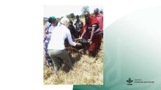 Action research – a place for the co-development of transformative solutions