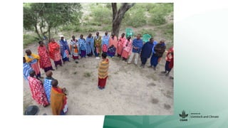 Action research – a place for the co-development of transformative solutions