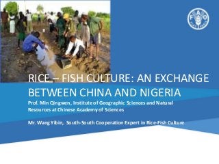 RICE – FISH CULTURE: AN EXCHANGE
BETWEEN CHINA AND NIGERIA
Prof. Min Qingwen, Institute of Geographic Sciences and Natural
Resources at Chinese Academy of Sciences
Mr. Wang Yibin, South-South Cooperation Expert in Rice-Fish Culture

 