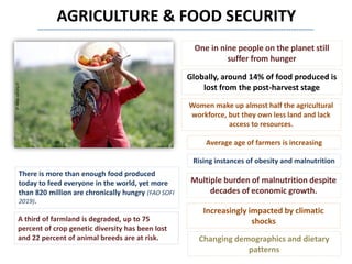 AGRICULTURE & FOOD SECURITY
There is more than enough food produced
today to feed everyone in the world, yet more
than 820 million are chronically hungry (FAO SOFI
2019).
One in nine people on the planet still
suffer from hunger
Globally, around 14% of food produced is
lost from the post-harvest stage
Women make up almost half the agricultural
workforce, but they own less land and lack
access to resources.
A third of farmland is degraded, up to 75
percent of crop genetic diversity has been lost
and 22 percent of animal breeds are at risk.
Average age of farmers is increasing
Rising instances of obesity and malnutrition
Multiple burden of malnutrition despite
decades of economic growth.
Increasingly impacted by climatic
shocks
©news.sol.org.tr
Changing demographics and dietary
patterns
 