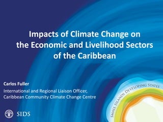 Impacts of Climate Change on
the Economic and Livelihood Sectors
of the Caribbean
Carlos Fuller
International and Regional Liaison Officer,
Caribbean Community Climate Change Centre
 