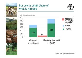FAO SLM adoption costs and barriers july 2010