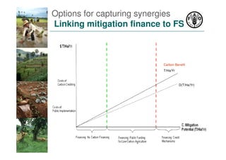 FAO SLM adoption costs and barriers july 2010