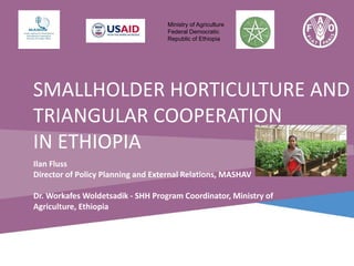 Ministry of Agriculture
Federal Democratic
Republic of Ethiopia

SMALLHOLDER HORTICULTURE AND
TRIANGULAR COOPERATION
IN ETHIOPIA
Ilan Fluss
Director of Policy Planning and External Relations, MASHAV
Dr. Workafes Woldetsadik - SHH Program Coordinator, Ministry of
Agriculture, Ethiopia

 