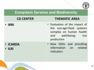 10
Ecosystem Services and Biodiversity
CG CENTER THEMATIC AREA
• IRRI • Evaluation of the impact of
the eco-agri-food systems
complex on human health
and well/being: rice
production
• ICARDA
• ILRI
• New SDGs and providing
information on related
indicators
 