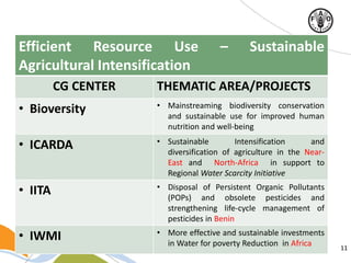 11
Efficient Resource Use – Sustainable
Agricultural Intensification
CG CENTER THEMATIC AREA/PROJECTS
• Bioversity • Mainstreaming biodiversity conservation
and sustainable use for improved human
nutrition and well-being
• ICARDA • Sustainable Intensification and
diversification of agriculture in the Near-
East and North-Africa in support to
Regional Water Scarcity Initiative
• IITA • Disposal of Persistent Organic Pollutants
(POPs) and obsolete pesticides and
strengthening life-cycle management of
pesticides in Benin
• IWMI • More effective and sustainable investments
in Water for poverty Reduction in Africa
 