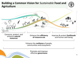5
Building a Common Vision for Sustainable Food and
Agriculture
Enhance the efficiency
of resource use
Conserve, protect, and
enhance natural
resources
Improve & protect livelihoods
and human well-being
Enhance the resilience of people,
communities and ecosystems
Promote and improve
effective governance
 