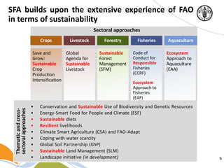 6
SFA builds upon the extensive experience of FAO
in terms of sustainability
Crops Livestock Forestry Fisheries Aquaculture
Save and
Grow:
Sustainable
Crop
Production
Intensification
Global
Agenda for
Sustainable
Livestock
Sustainable
Forest
Management
(SFM)
Code of
Conduct for
Responsible
Fisheries
(CCRF)
Ecosystem
Approach to
Fisheries
(EAF)
Ecosystem
Approach to
Aquaculture
(EAA)
• Conservation and Sustainable Use of Biodiversity and Genetic Resources
• Energy-Smart Food for People and Climate (ESF)
• Sustainable diets
• Resilient livelihoods
• Climate Smart Agriculture (CSA) and FAO-Adapt
• Coping with water scarcity
• Global Soil Partnership (GSP)
• Sustainable Land Management (SLM)
• Landscape initiative (in development)
Thematicandcross-
sectoralapproaches
Sectoral approaches
 