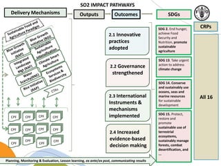 Delivery Mechanisms Outcomes SDGs
SDG 2. End hunger,
achieve Food
Security and
Nutrition, promote
sustainable
agriculture
Planning, Monitoring & Evaluation, Lesson learning, ex ante/ex post, communicating results
Outputs
SDG 13. Take urgent
action to address
climate change
SDG 14. Conserve
and sustainably use
oceans, seas and
marine resources
for sustainable
development
CPF
CPF
CPFCPF
CPF
CPF
2.1 Innovative
practices
adopted
2.3 International
Instruments &
mechanisms
implemented
2.2 Governance
strengthened
2.4 Increased
evidence-based
decision making
CPF
CPF
CPF
CPF
CPF
CPF
SO2 IMPACT PATHWAYS
SDG 15. Protect,
restore and
promote
sustainable use of
terrestrial
ecosystems,
sustainably manage
forests, combat
desertification, and
...
CRPs
All 16
 