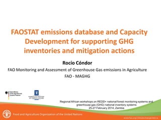 FAOSTAT emissions database and Capacity
Development for supporting GHG
inventories and mitigation actions
Regional African workshops on REDD+ national forest monitoring systems and
greenhouse gas (GHG) national inventory systems
25-27 February 2014, Zambia
Rocío Cóndor
FAO Monitoring and Assessment of Greenhouse Gas emissions in Agriculture
FAO - MAGHG
 