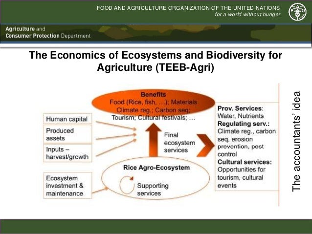 National biodiversity strategy and action plan india ppt