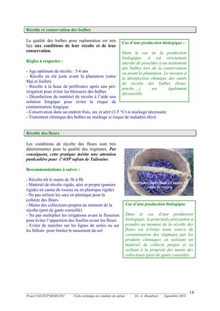 _______________________________________________________________________________________
Projet FAO/TCP/MOR/3201 Fiche technique de conduite du safran Dr. A. Aboudrare Septembre 2010
14
Récolte et conservation des bulbes
La qualité des bulbes pour replantation est très
liée aux conditions de leur récolte et de leur
conservation.
Règles à respecter :
- Age optimum de récolte : 5-6 ans
- Récolte en été juste avant la plantation (entre
Mai et Juillet)
- Récolte à la houe de préférence après une pré-
irrigation pour éviter les blessures des bulbes
- Désinfection du matériel de récolte à l’aide une
solution fongique pour éviter le risque de
contamination fongique
- Conservation dans un endroit frais, sec et aéré (3-5 °C) si stockage nécessaire
- Traitement chimique des bulbes au stockage si risque de maladies élevé
Récolte des fleurs
Les conditions de récolte des fleurs sont très
déterminantes pour la qualité des stigmates. Par
conséquent, cette pratique mérite une attention
particulière pour l’AOP safran de Taliouine.
Recommandations à suivre :
- Récolte tôt le matin de 5h à 8h
- Matériel de récolte rigide, aéré et propre (paniers
rigides en canne de roseau ou en plastique rigide)
- Ne pas utiliser les sacs en plastique pour la
collecte des fleurs
- Mains des collecteurs propres au moment de la
récolte (port de gants conseillé)
- Ne pas multiplier les irrigations avant la floraison
pour éviter l’apparition des feuilles avant les fleurs
- Eviter de marcher sur les lignes de semis ou sur
les billons pour limiter le tassement du sol
Cas d’une production biologique :
Dans le cas de la production
biologique, il est strictement
interdit de procéder à un traitement
des bulbes lors de la conservation
ou avant la plantation. Le recours à
la désinfection chimique des outils
de récolte des bulbes (houe,
pioche,…) est également
déconseillé.
Récolte des fleurs dans un panier en
canne de roseau
Cas d’une production biologique
Dans le cas d’une production
biologique, la principale précaution à
prendre au moment de la récolte des
fleurs est d’éviter toute source de
contamination des stigmates par les
produits chimiques en utilisant un
matériel de collecte propre et en
veillant à la propreté des mains des
collecteurs (port de gants conseillé).
 
