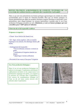 _______________________________________________________________________________________
Projet FAO/TCP/MOR/3201 Fiche technique de conduite du safran Dr. A. Aboudrare Septembre 2010
4
BONNES PRATIQUES AGRONOMIQUES DE CONDUITE TECHNIQUE DE LA
CULTURE DU SAFRAN DANS LA REGION DE TALIOUINE-TAZNAKHT
Dans ce qui suit nous présenterons les bonnes pratiques agronomiques de conduite du safran
recommandées pour la région de Taliouine-Taznakht. Bien que ces bonnes pratiques ne
fassent généralement pas appel aux produits chimiques (engrais chimiques et pesticides), nous
présenterons, pour chaque pratique, les mesures particulières à prendre pour le cas d’une
production biologique (encadrés en vert). Idéalement, ce sont ces bonnes pratiques qui sont
conseillées pour l’AOP safran de Taliouine.
Choix du site et de la parcelle à cultiver
Exigences à respecter :
- Climat : hiver froid et été chaud et sec
- Sol : léger, moins argileux, riche en matière
organique et en calcaire, bon drainage interne, pH
neutre,
- Aménagement de la parcelle :
* bon nivellement, terrasses si terrain en
pente
* canalisation d’irrigation étanche (en
béton)
* dépierrage si terrain caillouteux
- Proximité d’une source d’eau pour l’irrigation
Cas d’une production biologique :
Dans le cas où une production biologique du
safran est envisagée, l’exploitation doit fournir
suffisamment de fumier et de compost pour la
fertilisation organique du safran, ceci suppose
la présence de l’élevage dans l’exploitation.
Les sources de contamination chimique de
l’eau ou du sol (eaux usées) doivent être
absentes dans l’exploitation. Canalisation de l’irrigation en béton
Terrasses sur les terrains en pente
 