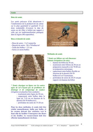 _______________________________________________________________________________________
Projet FAO/TCP/MOR/3201 Fiche technique de conduite du safran Dr. A. Aboudrare Septembre 2010
6
Semis
Date de semis
Les semis précoces d’été aboutissent à
l’amélioration de la productivité du safran
sur le plan quantitatif et qualitatif. Il est
donc souhaitable d’avancer la date de
semis en été (Mai à Juillet) par rapport à
celle qui est traditionnellement pratiquée
dans la région (Mi-septembre).
Dose et densité de semis
- Dose de semis : 3 à 5 tonnes/ha
- Densité de semis : 50 à 70 bulbes/m²
- Taille des bulbes > 2,5 cm
- Semis en mono-bulbes
Méthodes de semis
* Semis sur billons sur sols limoneux
battants (irrigation à la raie):
- hauteur du billon de 30 cm;
- écartement entre billons de 50 cm en
préparation manuelle et de 70-80 cm
en préparation mécanique;
- espacement entre bulbes flexible en
fonction de la densité (50-70
bulbes/m²) et l’écartement;
- profondeur de semis de 20-25 cm par
rapport à la hauteur du billon
* Semis classique en lignes sur les autres
types de sol n’ayant pas de problèmes de
drainage et de compactage de surface
(irrigation en planches bien conduite) :
- écartement entre lignes de 20 cm;
- espacement entre bulbes dans la
ligne de 7-10 cm en fonction de la
densité (50-70 bulbes/m²);
- profondeur de semis de 15-20 cm
Pour les deux méthodes, le semis doit être
réalisé manuellement, bulbe par bulbe, et
les cormes doivent être orientées vers le
haut afin de faciliter l’émergence des fleurs
et des feuilles. Le recouvrement doit être
effectué manuellement à la houe.
Conception à la houe des sillons
pour semis classique du safran
Culture de safran semée
classiquement en ligne
Semis du safran sur billons
(irrigation à la raie)
Culture de safran sur billons
 