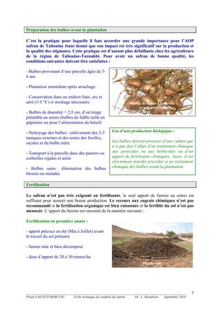 _______________________________________________________________________________________
Projet FAO/TCP/MOR/3201 Fiche technique de conduite du safran Dr. A. Aboudrare Septembre 2010
7
Préparation des bulbes avant la plantation
C’est la pratique pour laquelle il faut accorder une grande importance pour l’AOP
safran de Taliouine étant donné que son impact est très significatif sur la production et
la qualité des stigmates. Cette pratique est d’autant plus défaillante chez les agriculteurs
de la région de Taliouine-Taznakht. Pour avoir un safran de bonne qualité, les
conditions suivantes doivent être satisfaites :
- Bulbes provenant d’une parcelle âgée de 5-
6 ans
- Plantation immédiate après arrachage
- Conservation dans un endroit frais, sec et
aéré (3-5 °C) si stockage nécessaire
- Bulbes de diamètre > 2,5 cm, d’où triage
préalable au semis (bulbes de faible taille en
pépinière ou pour l’alimentation du bétail)
- Nettoyage des bulbes : enlèvement des 2-3
tuniques externes et des restes des feuilles,
racines et du bulbe mère
- Transport à la parcelle dans des paniers ou
corbeilles rigides et aérés
- Bulbes sains : élimination des bulbes
blessés ou malades
Fertilisation
Le safran n’est pas très exigeant en fertilisants, le seul apport de fumier au semis est
suffisant pour assurer une bonne production. Le recours aux engrais chimiques n’est pas
recommandé si la fertilisation organique est bien raisonnée et la fertilité du sol n’est pas
menacée. L’apport du fumier est raisonné de la manière suivante :
Fertilisation en première année :
- apport précoce en été (Mai à Juillet) avant
le travail du sol primaire
- fumier mûr et bien décomposé
- dose d’apport de 20 à 30 tonnes/ha
Cas d’une production biologique :
Les bulbes doivent provenir d’une culture qui
n’a pas fait l’objet d’un traitement chimique
aux pesticides ou aux herbicides ou d’un
apport de fertilisants chimiques. Aussi, il est
strictement interdit procéder à un traitement
chimique des bulbes avant la plantation.
Bulbes de safran à la récolte
(avant nettoyage)
Fumier mûr
 