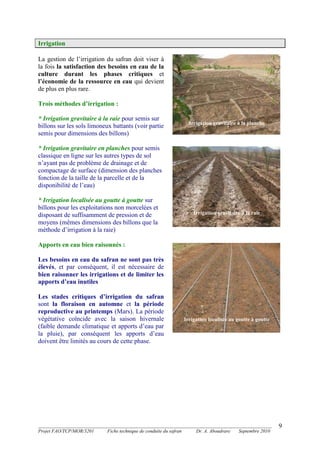 _______________________________________________________________________________________
Projet FAO/TCP/MOR/3201 Fiche technique de conduite du safran Dr. A. Aboudrare Septembre 2010
9
Irrigation
La gestion de l’irrigation du safran doit viser à
la fois la satisfaction des besoins en eau de la
culture durant les phases critiques et
l’économie de la ressource en eau qui devient
de plus en plus rare.
Trois méthodes d’irrigation :
* Irrigation gravitaire à la raie pour semis sur
billons sur les sols limoneux battants (voir partie
semis pour dimensions des billons)
* Irrigation gravitaire en planches pour semis
classique en ligne sur les autres types de sol
n’ayant pas de problème de drainage et de
compactage de surface (dimension des planches
fonction de la taille de la parcelle et de la
disponibilité de l’eau)
* Irrigation localisée au goutte à goutte sur
billons pour les exploitations non morcelées et
disposant de suffisamment de pression et de
moyens (mêmes dimensions des billons que la
méthode d’irrigation à la raie)
Apports en eau bien raisonnés :
Les besoins en eau du safran ne sont pas très
élevés, et par conséquent, il est nécessaire de
bien raisonner les irrigations et de limiter les
apports d’eau inutiles
Les stades critiques d’irrigation du safran
sont la floraison en automne et la période
reproductive au printemps (Mars). La période
végétative coïncide avec la saison hivernale
(faible demande climatique et apports d’eau par
la pluie), par conséquent les apports d’eau
doivent être limités au cours de cette phase.
Irrigation gravitaire à la planche
Irrigation gravitaire à la raie
Irrigation localisée au goutte à goutte
 