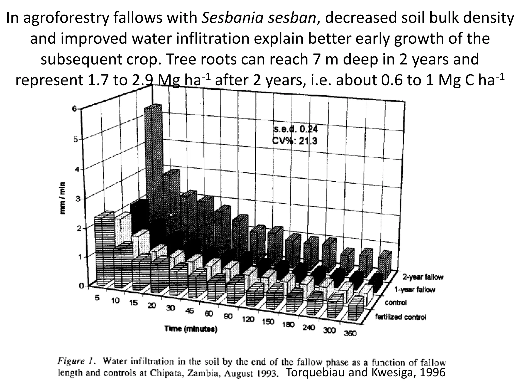 In agroforestry fallows with Sesbania sesban, decreased soil bulk density
    and improved water inflitration explain better early growth of the
     subsequent crop. Tree roots can reach 7 m deep in 2 years and
  represent 1.7 to 2.9 Mg ha-1 after 2 years, i.e. about 0.6 to 1 Mg C ha-1




                                         Torquebiau and Kwesiga, 1996
 