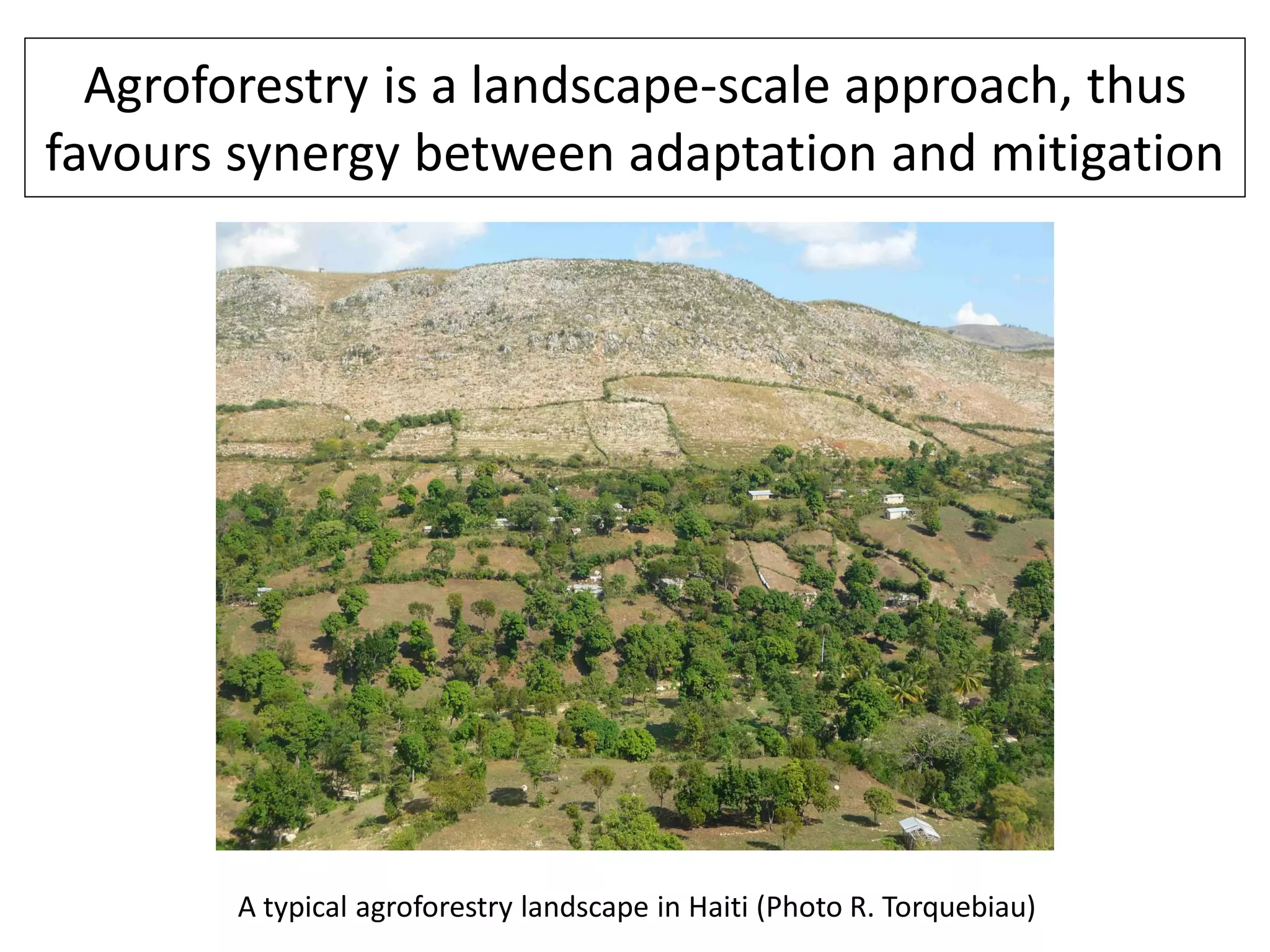 Agroforestry is a landscape-scale approach, thus
favours synergy between adaptation and mitigation




        A typical agroforestry landscape in Haiti (Photo R. Torquebiau)
 