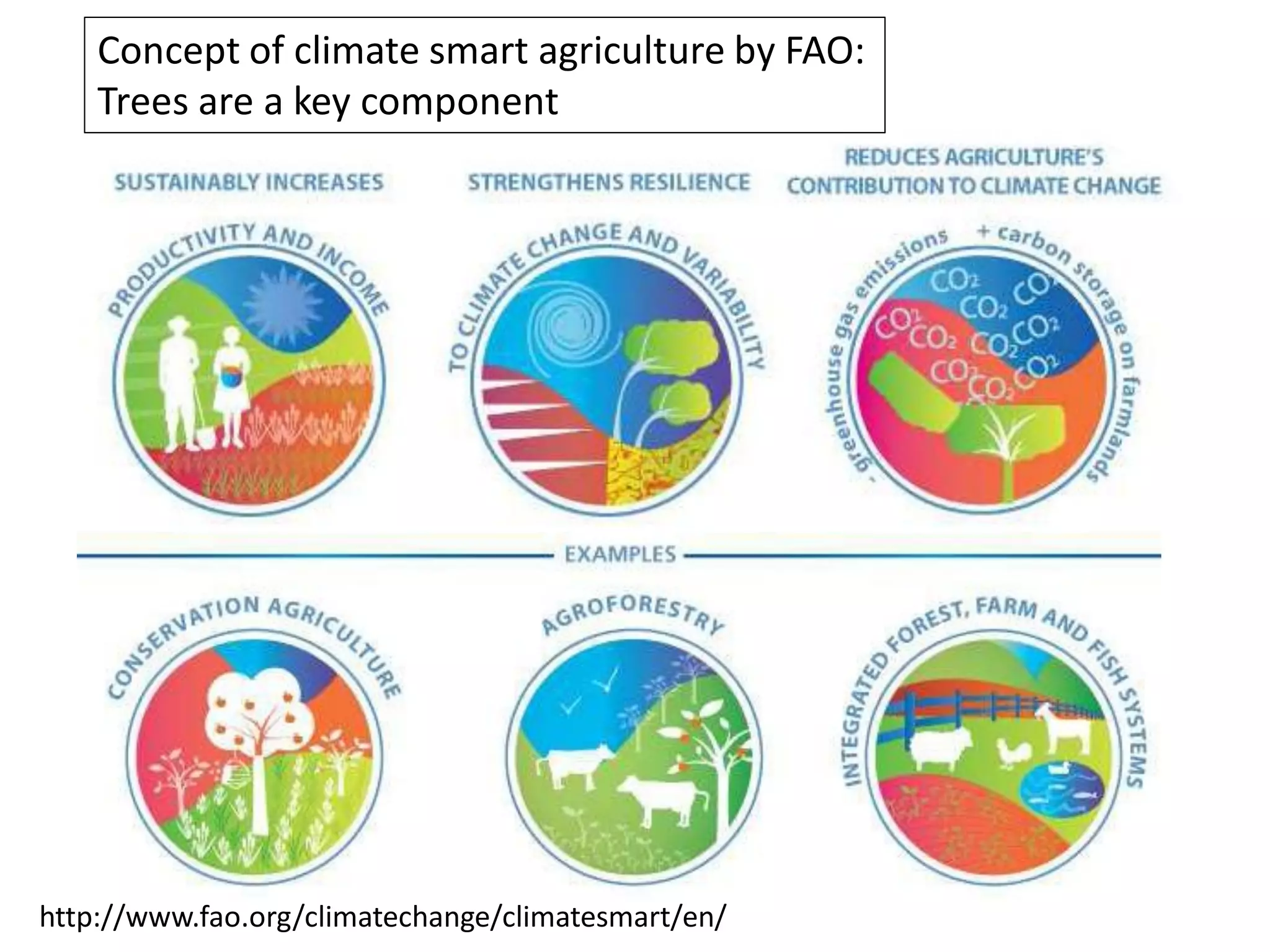 Concept of climate smart agriculture by FAO:
    Trees are a key component




http://www.fao.org/climatechange/climatesmart/en/
 