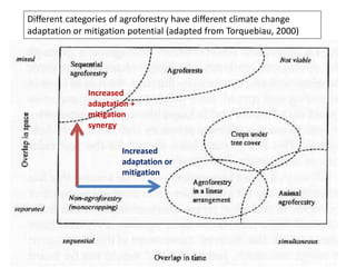 Different categories of agroforestry have different climate change
adaptation or mitigation potential (adapted from Torquebiau, 2000)




              Increased
              adaptation +
              mitigation
              synergy

                       Increased
                       adaptation or
                       mitigation
 