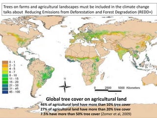 Trees on farms and agricultural landscapes must be included in the climate change
talks about Reducing Emissions from Deforestation and Forest Degradation (REDD+)




                       Global tree cover on agricultural land
                    46% of agricultural land have more than 10% tree cover
                    27% of agricultural land have more than 20% tree cover
                    7.5% have more than 50% tree cover (Zomer et al, 2009)
 