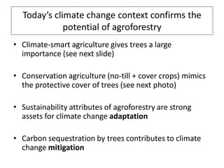 Today’s climate change context confirms the
             potential of agroforestry
• Climate-smart agriculture gives trees a large
  importance (see next slide)

• Conservation agriculture (no-till + cover crops) mimics
  the protective cover of trees (see next photo)

• Sustainability attributes of agroforestry are strong
  assets for climate change adaptation

• Carbon sequestration by trees contributes to climate
  change mitigation
 