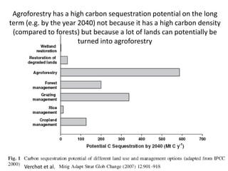 Agroforestry has a high carbon sequestration potential on the long
term (e.g. by the year 2040) not because it has a high carbon density
 (compared to forests) but because a lot of lands can potentially be
                       turned into agroforestry




    Verchot et al.
 