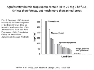 Agroforestry (humid tropics) can contain 50 to 75 Mg C ha-1, i.e.
    far less than forests, but much more than annual crops
 